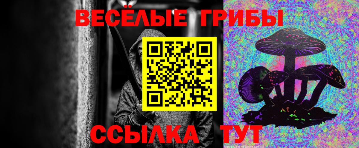 Великие Луки  купить закладку  Вход с VPN  Псилоцибиновые грибы Cubensis 